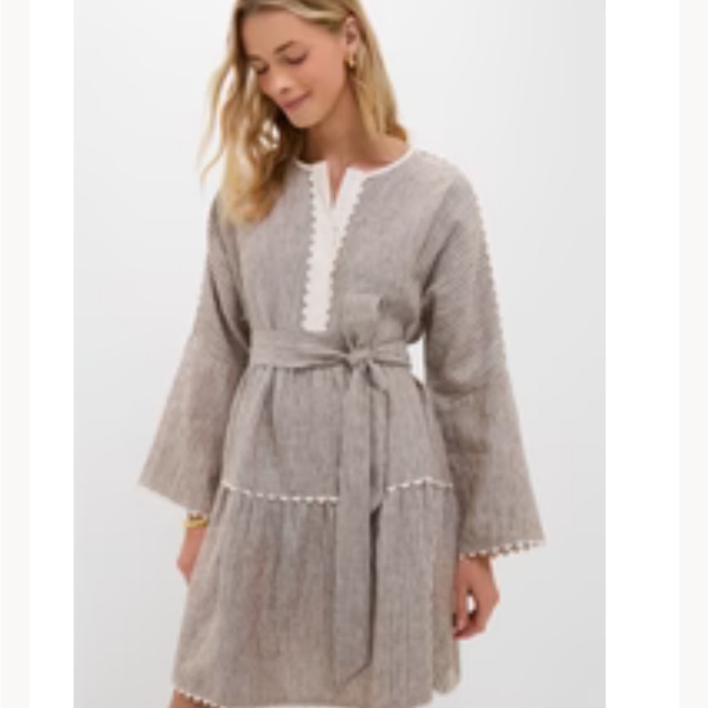 Tuckernuck Brown Stripe Linen Tobi Mini Dress - Picture 3 of 5